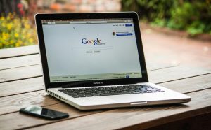 Domain Web